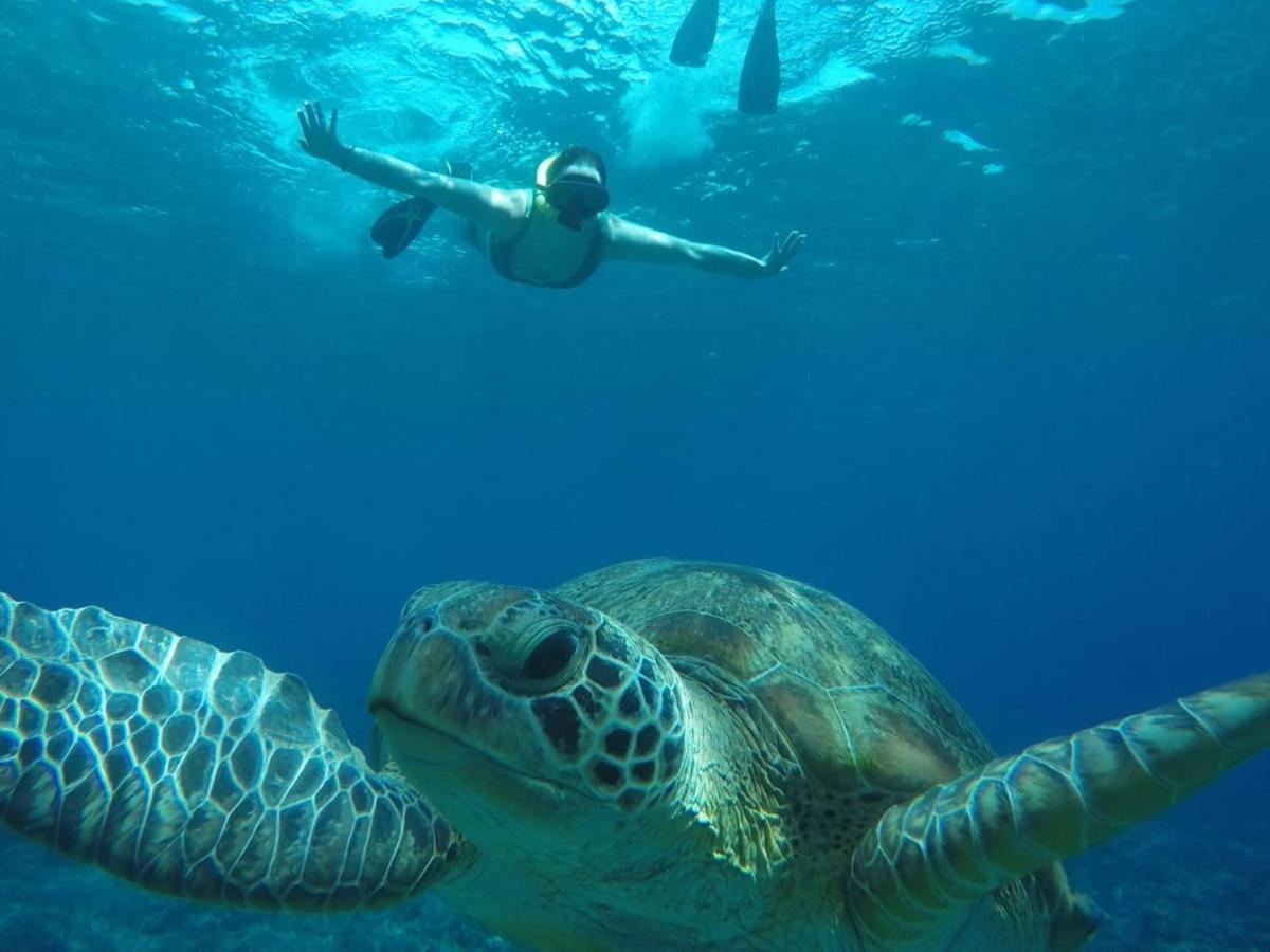 Fantastic Cottages Gili Meno Exteriér fotografie