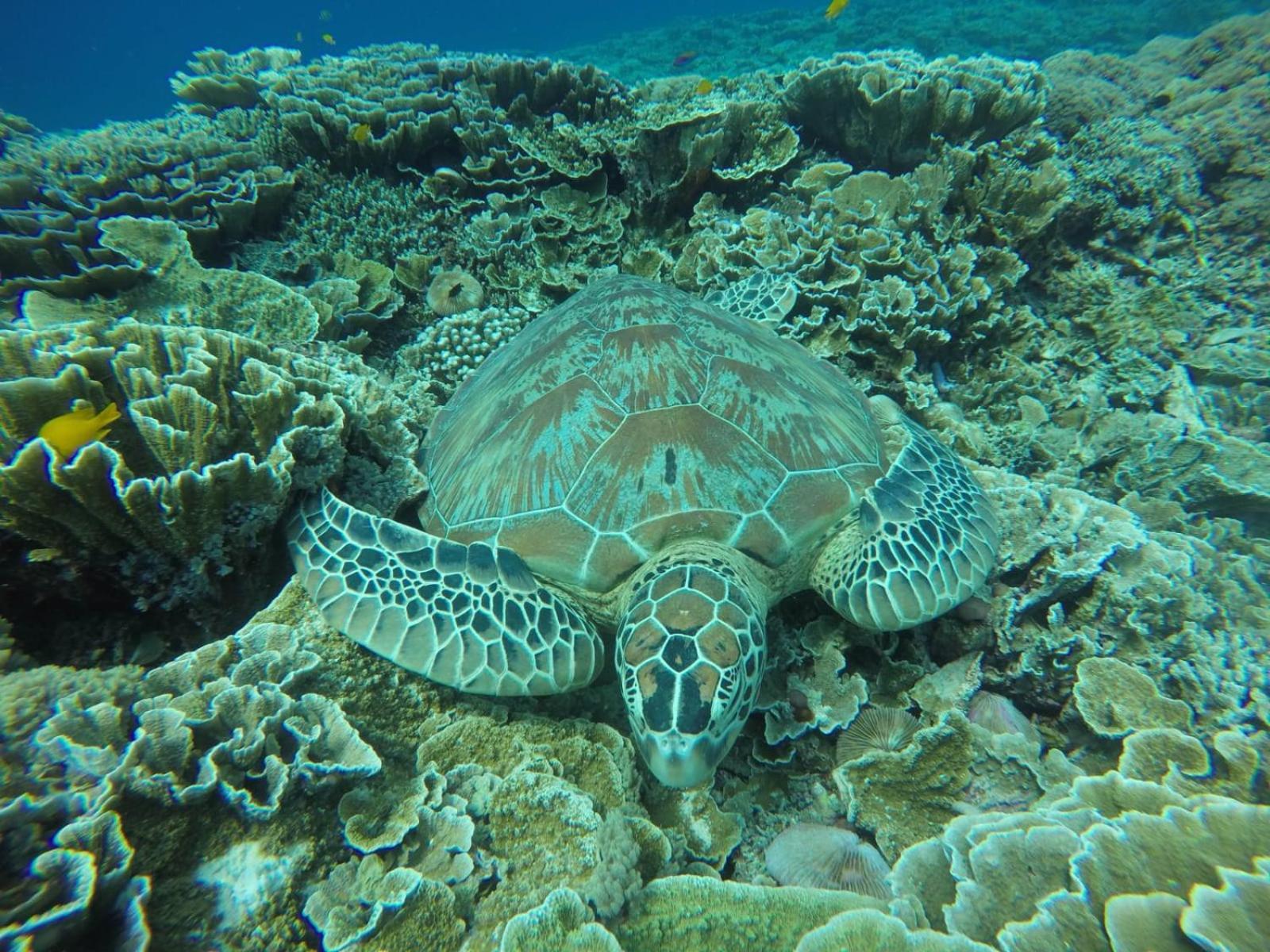 Fantastic Cottages Gili Meno Pokoj fotografie