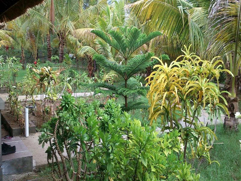 Fantastic Cottages Gili Meno Exteriér fotografie